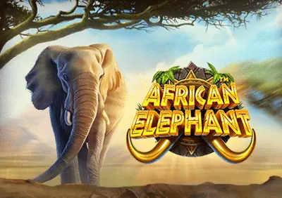 African Elephant™